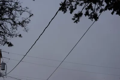 DSC_3136 (Large).JPG